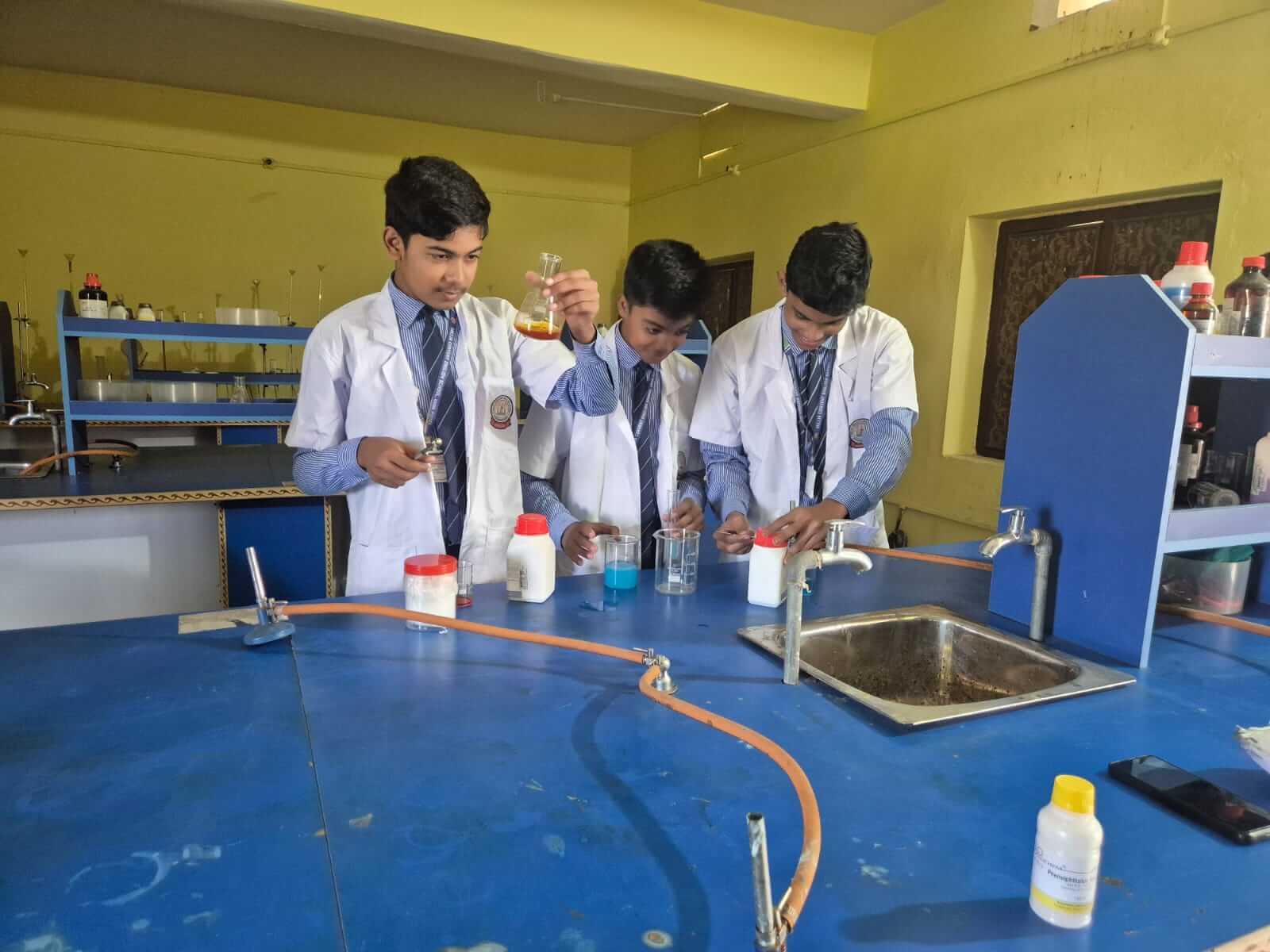 Millia Convent English School Laboratory